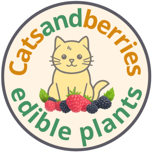 Catsandberries